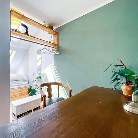 Schoene Mit Blick Ueber Stadtwald Leipzig