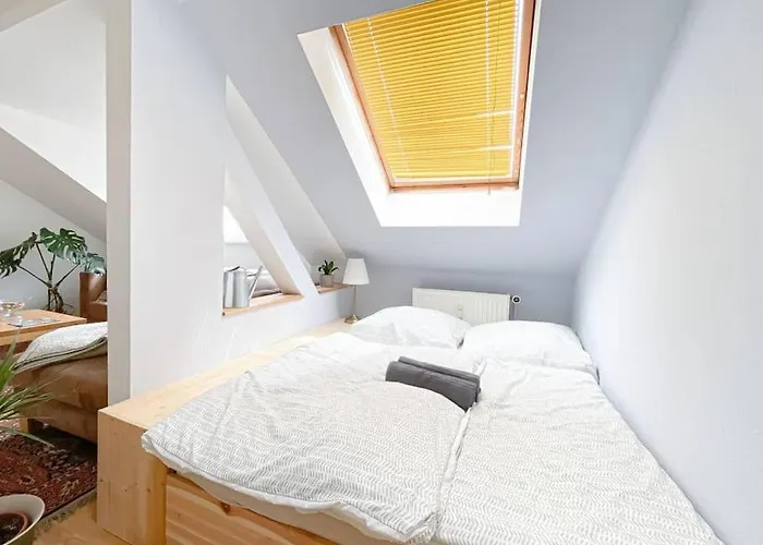 Schoene Mit Blick Ueber Stadtwald