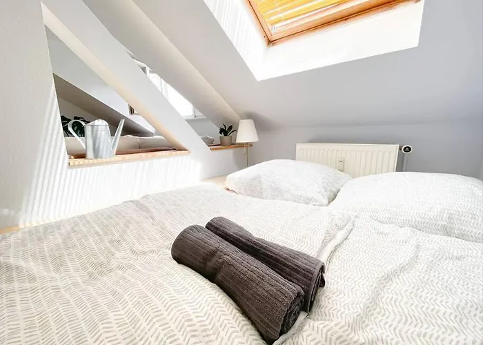 Schoene Mit Blick Ueber Stadtwald Leipzig